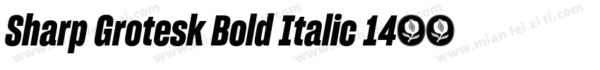 Sharp Grotesk Bold Italic 14字体转换